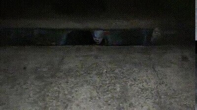 Enlace a ¿Qué harías si lo ves en la vida real?