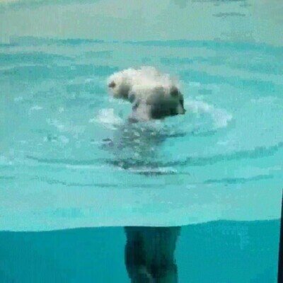 Enlace a Una auténtica bailarina acuática