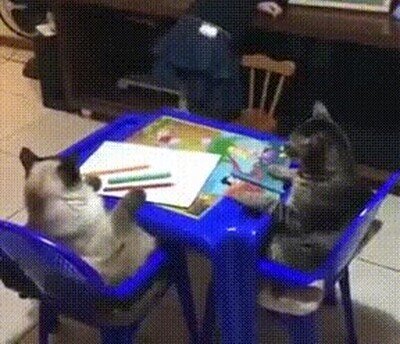 Enlace a Así me siento cuando me intentan explicar algo de matemáticas