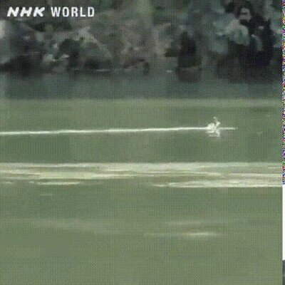 Enlace a Imposible hacerla llegar más lejos