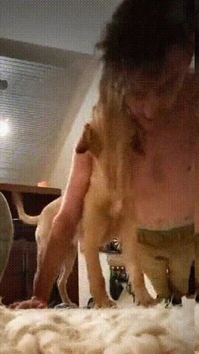 complicado,ejercicio,perro,casa