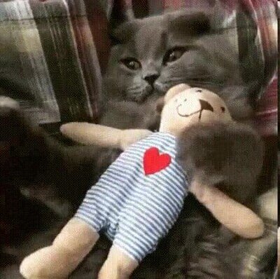 Enlace a Ni se te ocurra tocarlo