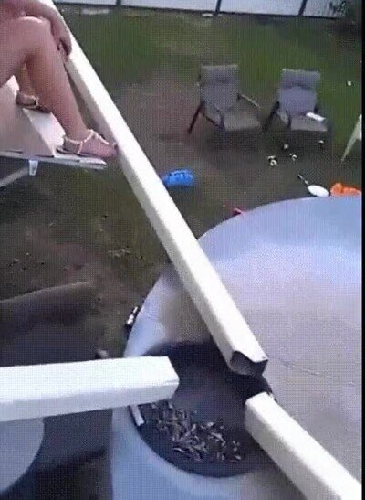 Enlace a Fue una mala idea subirse