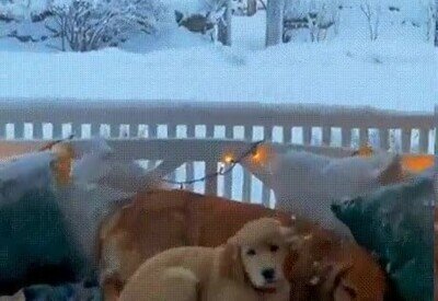 Enlace a Así me imagino el día perfecto en la nieve con la mejor compañía