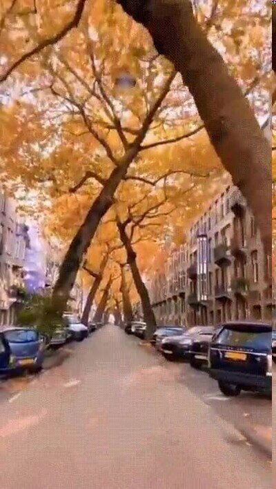 Enlace a El otoño nos deja con paisajes increíbles