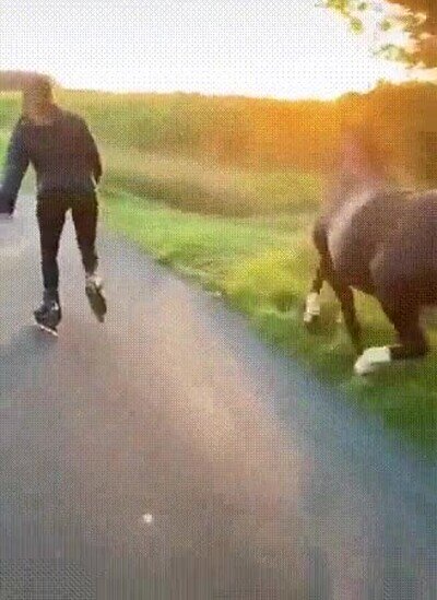 Enlace a Disfrutando de la última hora del día con sus mejores amigos