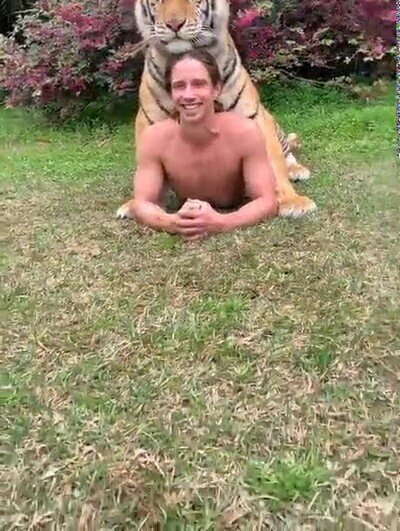 Enlace a Un tigre bastante posesivo