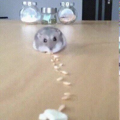 Enlace a Este modelo de Roomba es muy adorable