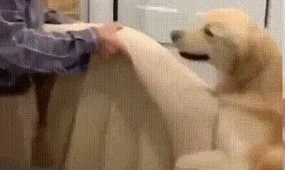 Enlace a Ayudando en las tareas del hogar