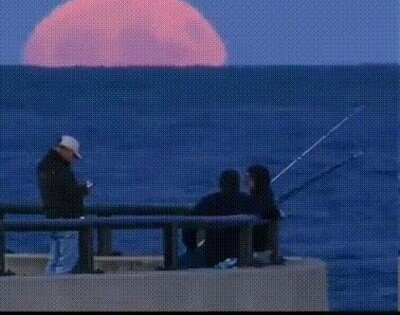 Enlace a Observando la salida de la luna desde el mar