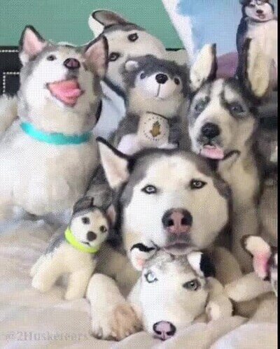 Enlace a Día 48. Todavía no me han encontrado