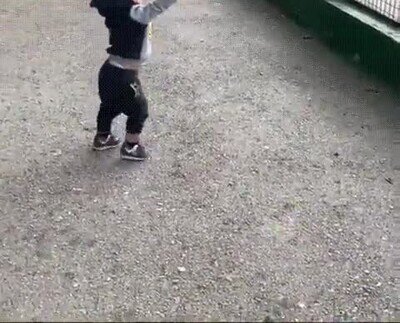 bebe,alimentando,jirafa