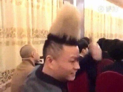 Enlace a Hay gente con un pelo de locos