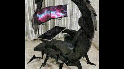 salir,casa,silla,escorpion