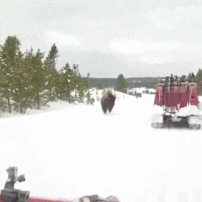 Enlace a Me daría miedo verlo en directo