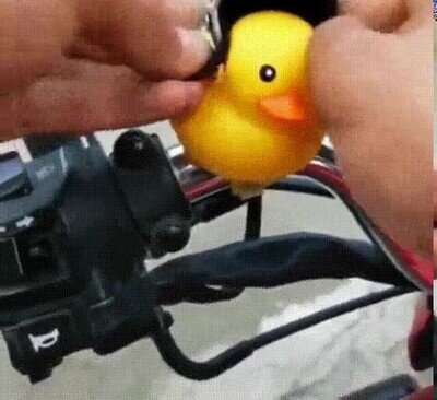 Enlace a Lo más adorable que verá en todo el día