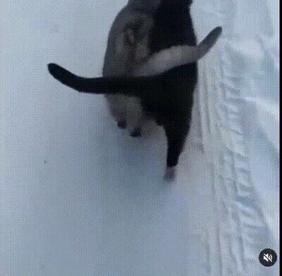 Enlace a Cuando encuentras a tu alma gemela