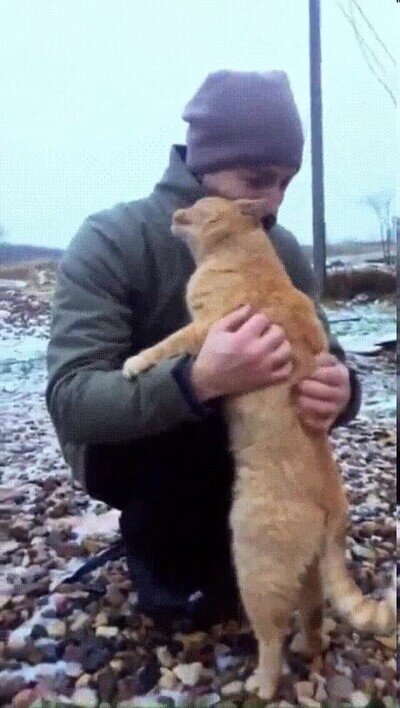 Enlace a El gatito más adorable que verás en todo el día