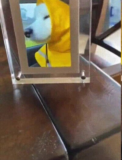 Enlace a Le encanta llevar el chubasquero amarillo