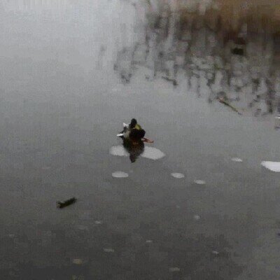 Enlace a Imposible aterrizar con más estilo