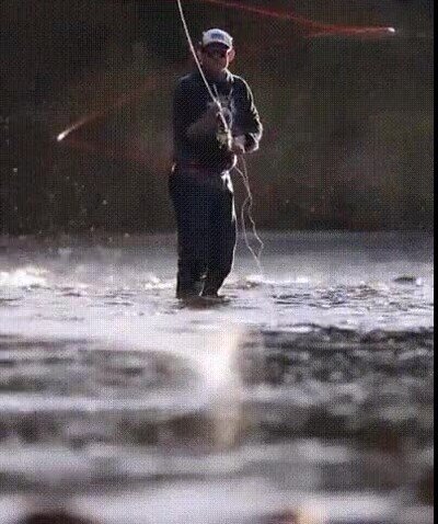 Enlace a Dicen que es capaz de hipnotizar a los peces