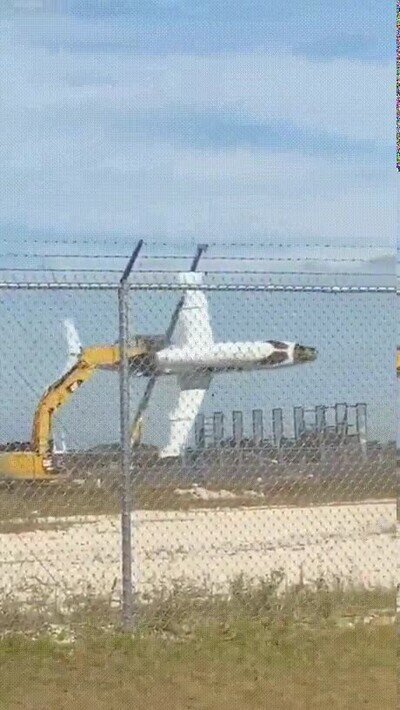 Enlace a Se lo está pasando como un niño pequeño
