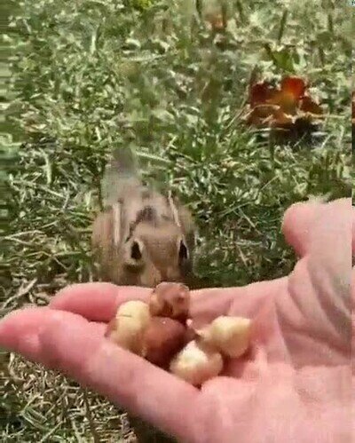Enlace a Cuando vas a la cocina para asaltar la nevera