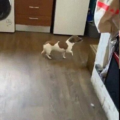 Enlace a No tengo ni idea de lo que me hablas