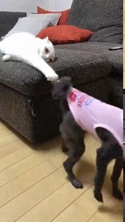 Enlace a Cuando tu madre no te deja salir con tus amigos