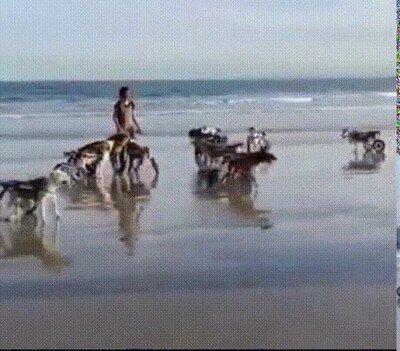 Enlace a Disfrutando de su primer día de playa