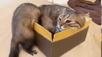 Enlace a Lo que se siente al ser padre