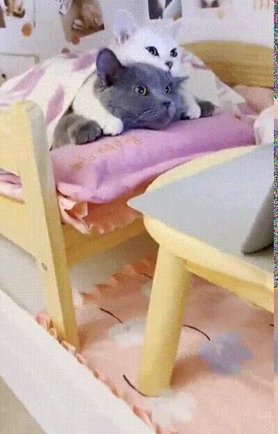 Enlace a Mantita y peli, lo mejor para los días de frío