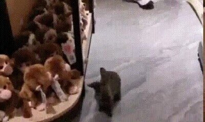 Enlace a Un maestro en el juego del escondite