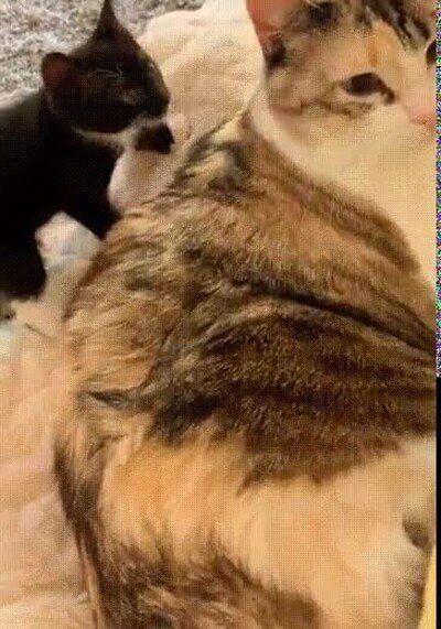 Enlace a El karma lo ha puesto en su sitio