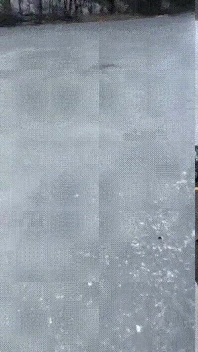 Enlace a Lo que pasas cuando disparas una bala en el hielo