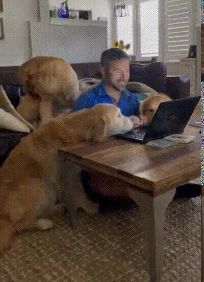 Enlace a Asi no hay manera de trabajar desde casa