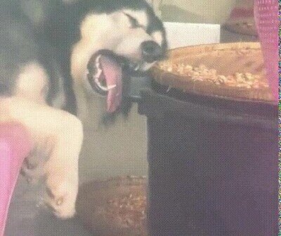 Enlace a Es capaz de dormirse en cualquier sitio