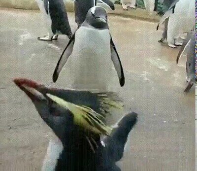 Enlace a Cuando eres el único que siente la música