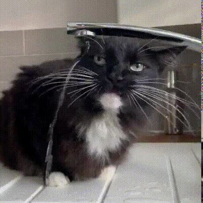 Enlace a Algo va mal...