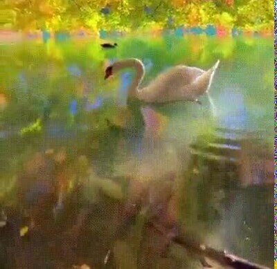 Enlace a Parece salido de una peli de Disney