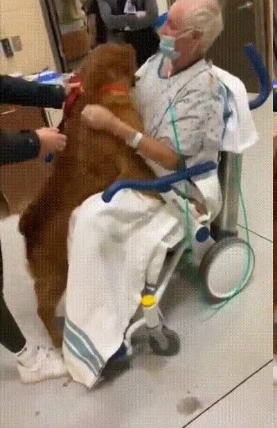 Enlace a Después de estar 6 meses separados