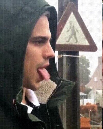 Enlace a He encontrado a mi animal espiritual