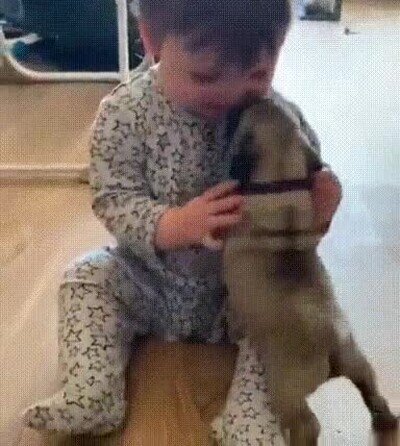 adorable,perro,ni&ntilde;o