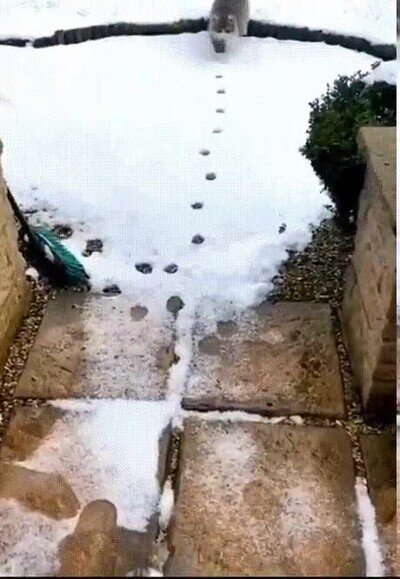 Enlace a Todo estaba perfectamente planeado