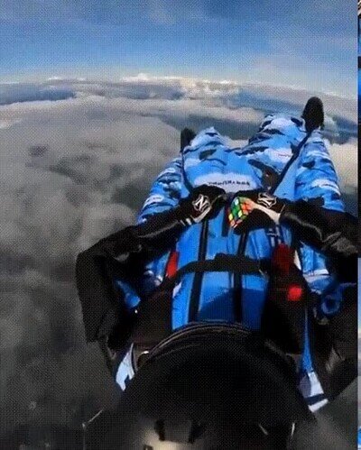 Enlace a Hay que tener sangre fría para hacerlo