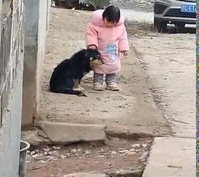 Es adorable como le tapa los oídos para que no se asuste con los petardos perro,niña,petardos