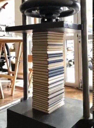 Enlace a He sufrido mucho por esos libros