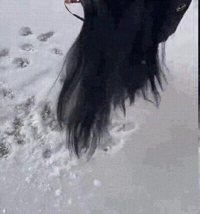 Enlace a Hace demasiado frío. Mejor me quedo dentro