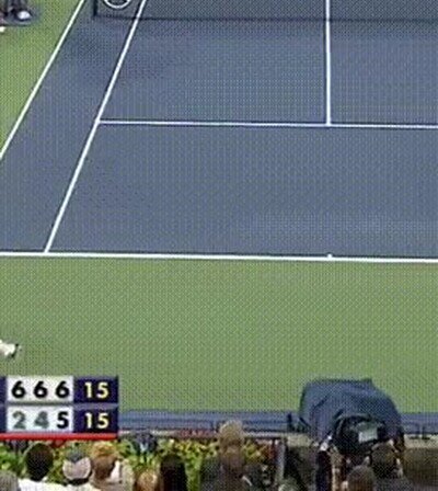 Enlace a Un punto legendario entre Nadal y Djokovic