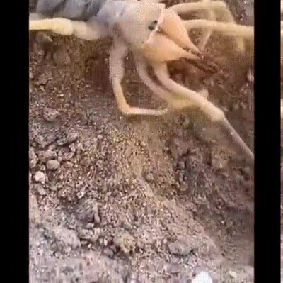 Enlace a Voy a tener pesadillas